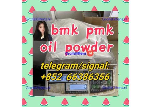 bmk pmk oil powder  高洪波高低杠大概