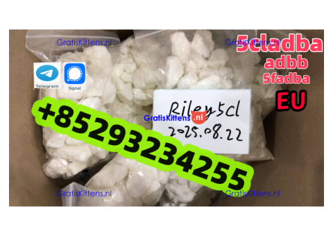 5cladba adbb raw material 5CL-ADB-A precursor raw  5cladba 5f adb 4fadb