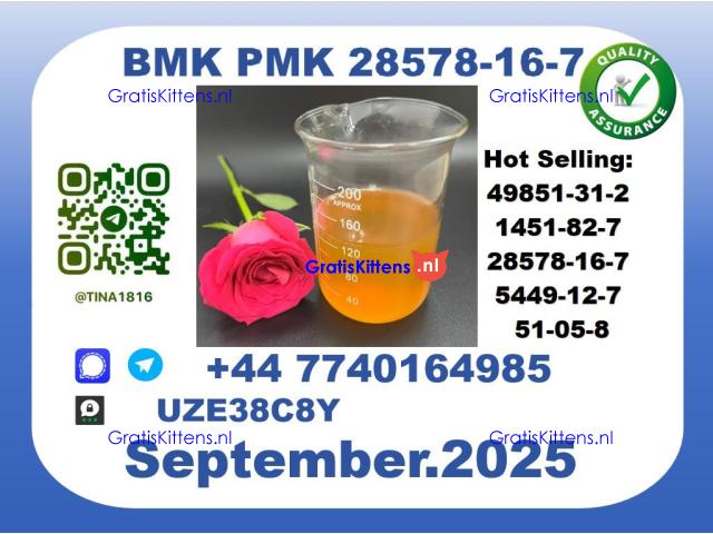 BMK PMK，CAS 28578-16-7-Precision-Sourced for Industry