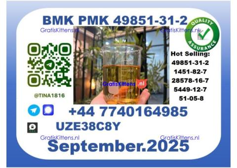 BMK PMK, CAS 5449-12-7-Precision-Sourced for Industry
