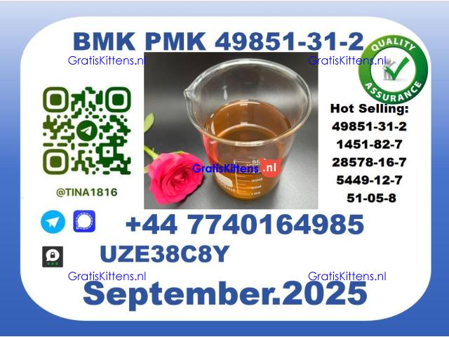 BMK PMK, CAS 5449-12-7-Precision-Sourced for Industry