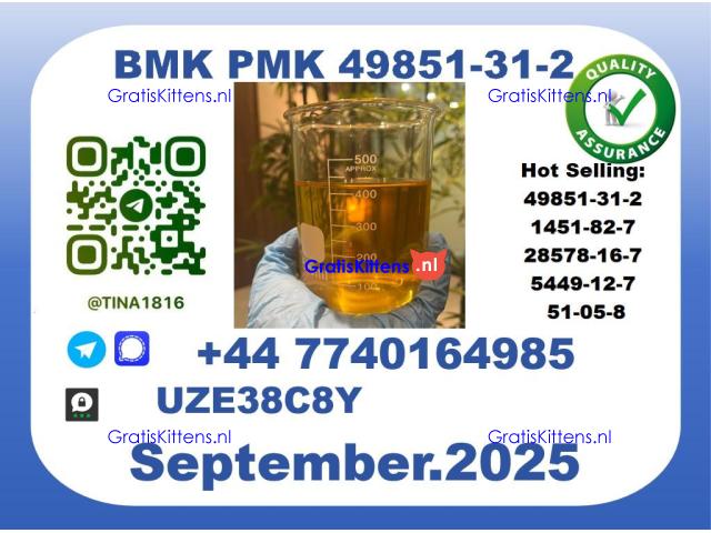 BMK PMK, CAS 49851-31-2 Precision-Sourced for Industry
