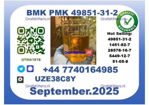 BMK PMK, CAS 49851-31-2 Precision-Sourced for Industry