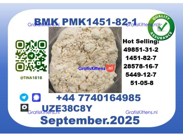 BMK PMK factory,CAS 1451-82-7