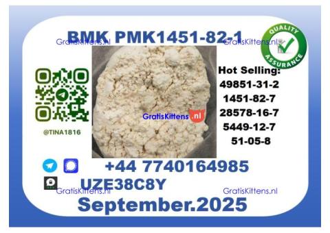 BMK PMK factory,CAS 1451-82-7