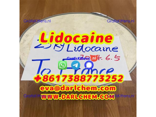Lidocaine base hcl crystals powder 137-58-6 Research Chemical and Pharma Materials