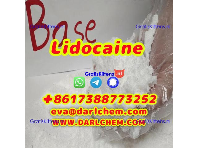 Lidocaine base hcl crystals powder 137-58-6 Research Chemical and Pharma Materials