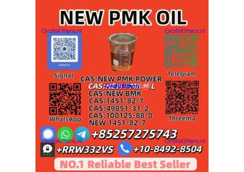 Wholesale  New P.M.K Oil 28578-16-7 Best Price Online