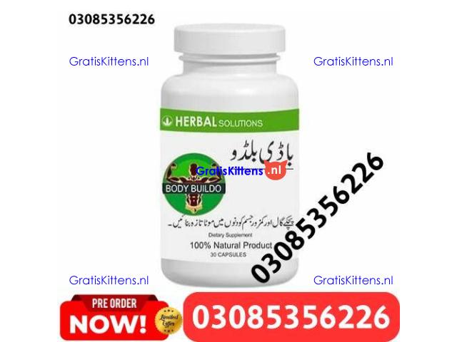Body Buildo Capsules In Dera Ghazi Khan | 03005356678 Order Now