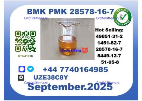 BMK PMK，CAS 28578-16-7-Precision-Sourced for Industry