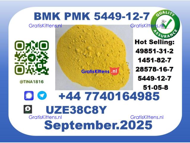 CAS 5449-12-7 BMK PMK,Certified Factory Supply