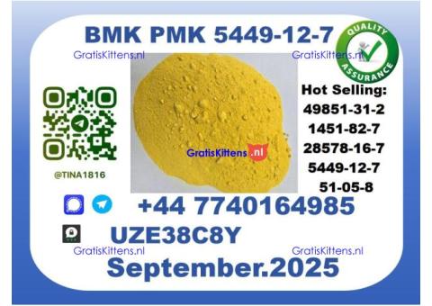 CAS 5449-12-7 BMK PMK,Certified Factory Supply