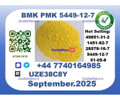CAS 5449-12-7 BMK PMK,Certified Factory Supply