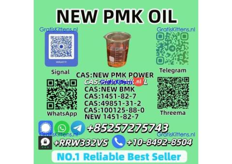 Factory Supply New PMK Oil 28578-16-7 Global Shipping