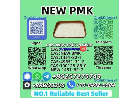 Top-Selling New PMK Power 28578-16-7 Bulk Supply
