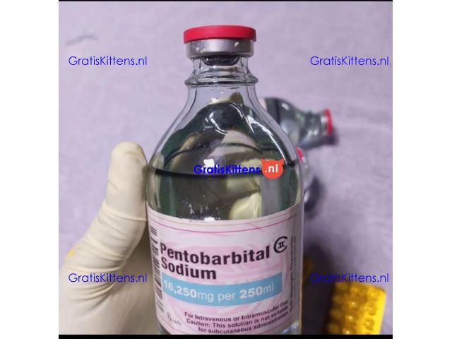 Buy nembutal pentobarbital for peaceful death. Whatsapp:+447447025920 Email:brayleedoris@gmail.com