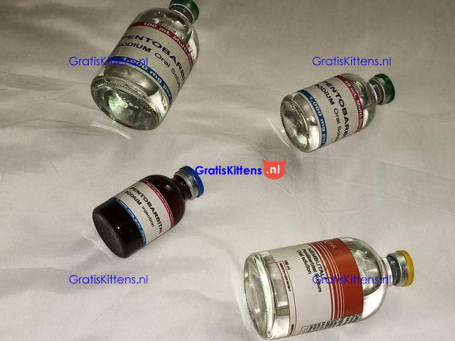 Buy nembutal pentobarbital for peaceful death. Whatsapp:+447447025920 Email:brayleedoris@gmail.com