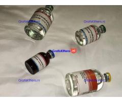 Buy nembutal pentobarbital for peaceful death. Whatsapp:+447447025920 Email:brayleedoris@gmail.com