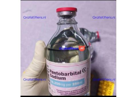 Kaufen Sie Nembutal Pentobarbital online ohne Rezept in Deutschland. WhatsApp: +447447025920