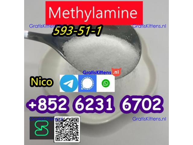 how to buy Hot sales CAS 593-51-1 Methylamine HCl with good quality