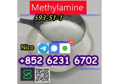 how to buy Hot sales CAS 593-51-1 Methylamine HCl with good quality