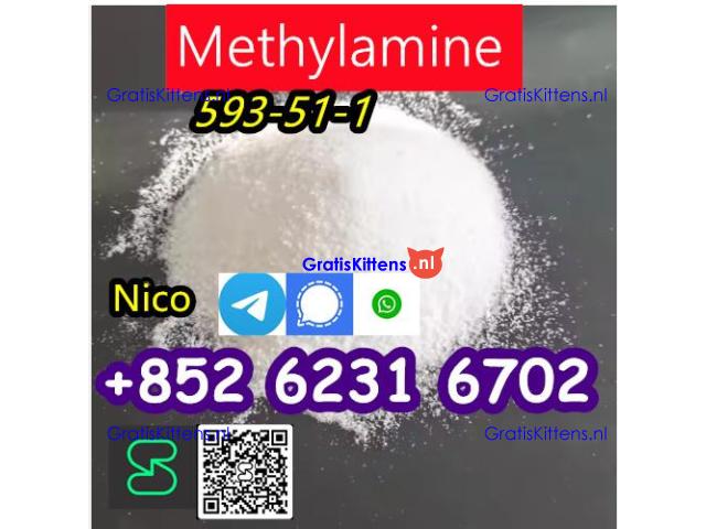 how to buy Hot sales CAS 593-51-1 Methylamine HCl with good quality