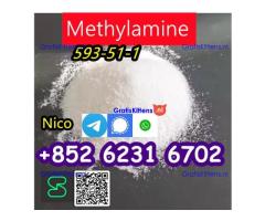 how to buy Hot sales CAS 593-51-1 Methylamine HCl with good quality