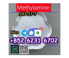 how to buy Hot sales CAS 593-51-1 Methylamine HCl with good quality