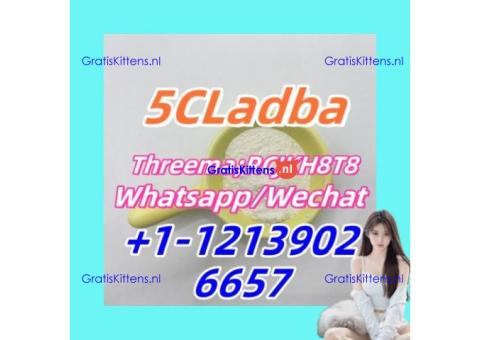 5CLadba