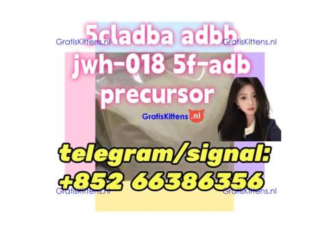 5cladba adbb jwh-018 5f-adb precursor  房改房的高度法官