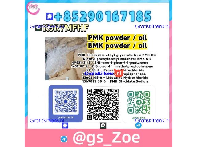 Hot-sale products:  B.M.K 5449-12-7 P.M.K 28578-16-7 | Buy Direct from Factory
