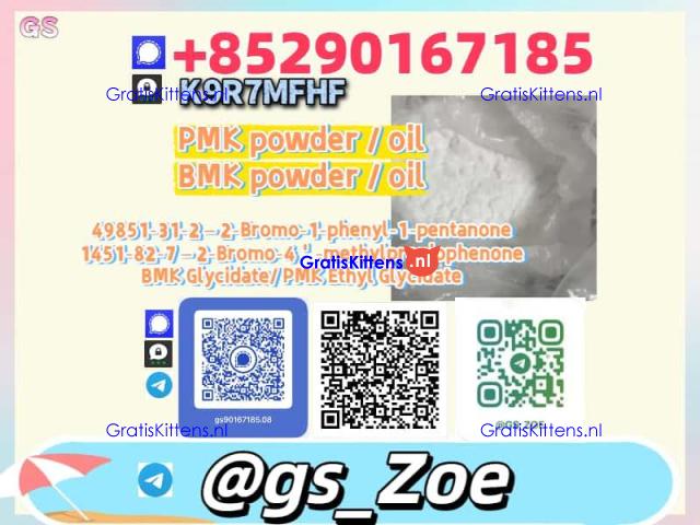 Hot-sale products:  B.M.K 5449-12-7 P.M.K 28578-16-7 | Buy Direct from Factory