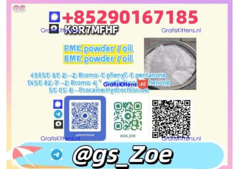 Buy 100% Safe B.M.K 5449-12-7 P.M.K 28578-16-7 – Free Samples & Custom Pricing