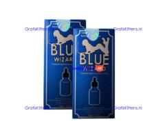 Blue Wizard Drops In Pakistan | 100% Natural No Side Effects Price in Rawalpindi