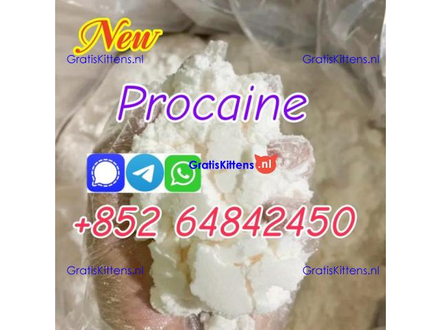 CAS59-46-1 Procaine base Procaine powder Procaine supplier
