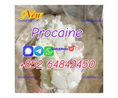 CAS59-46-1 Procaine base Procaine powder Procaine supplier