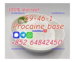 CAS59-46-1 Procaine base Procaine powder Procaine supplier