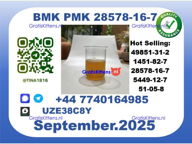 CAS 28578-16-7 BMK PMK Certified Factory Supply
