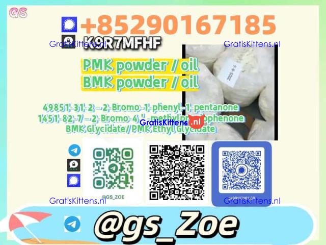 P M K & B M K — Supplier Code of Conduct (Headline)