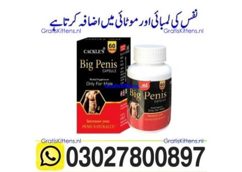 Big Penis Capsule Price in Islamabad & 03027800897 $ Cod