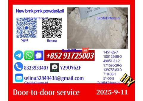 BMK Glycidate 5449-12-7