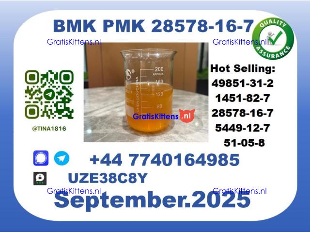 New BMK PMK，CAS 28578-16-7 Toppest Factory Supply