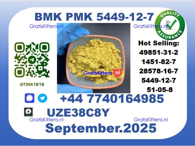 CAS 5449-12-7 BMK PMK,Certified Factory Supply