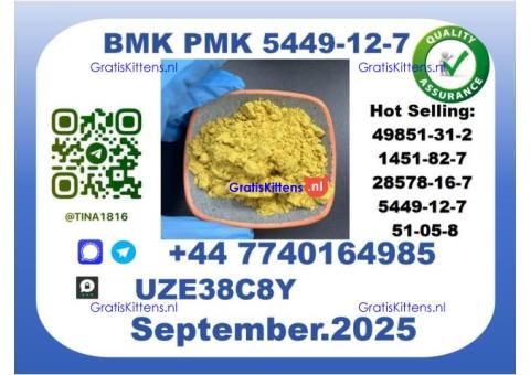 CAS 5449-12-7 BMK PMK,Certified Factory Supply