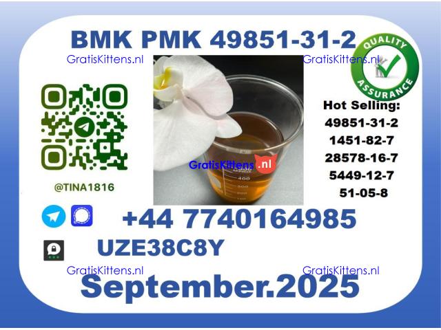 CAS 49851-31-2， BMK PMK Certified Factory Supply