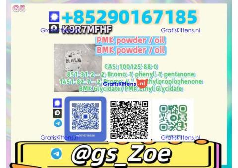 28578-16-7, 5449-12-7 B.M.K , P.M.K - After-sales Training & Support
