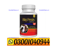 Big Penis Capsule in Pakistan ( 0300.1040944 ) Call Now
