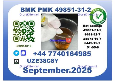 BMK PMK, CAS 49851-31-2 Precision-Sourced for Industry