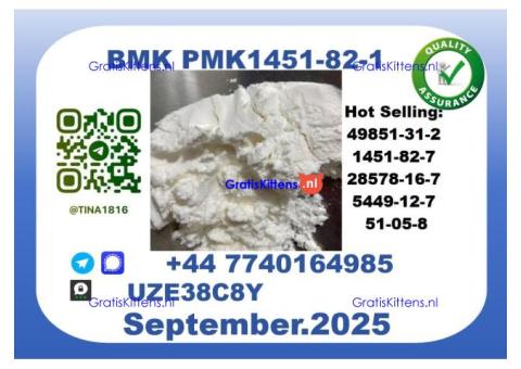 BMK PMK factory,CAS 1451-82-7
