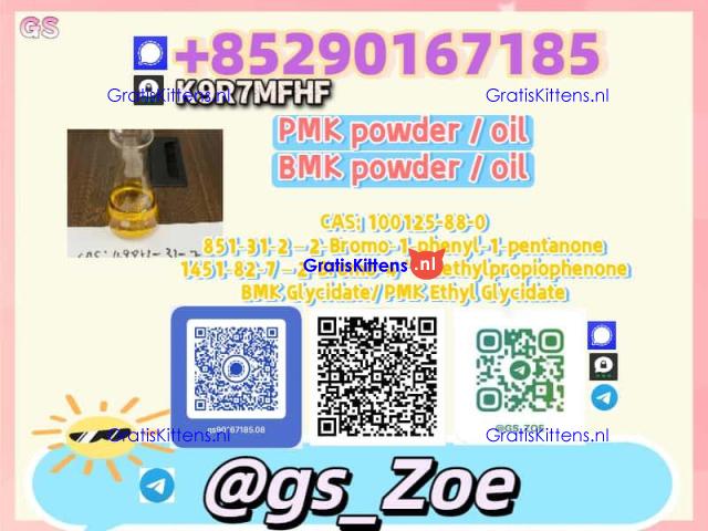 28578-16-7, 5449-12-7 B.M.K , P.M.K —Reduce Cycle Time: Fast-Acting Additive Now in Stock